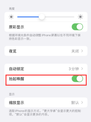 博鳌镇苹果授权维修站分享iPhone轻点无法唤醒怎么办