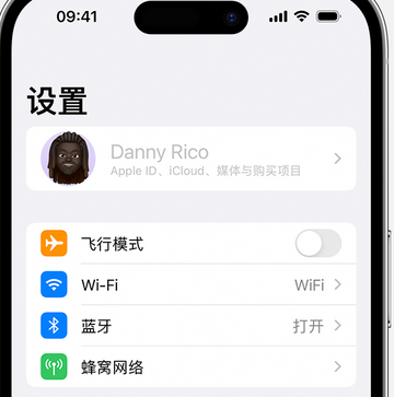 博鳌镇appleID维修服务iPhone设置中Apple ID显示为灰色无法使用 