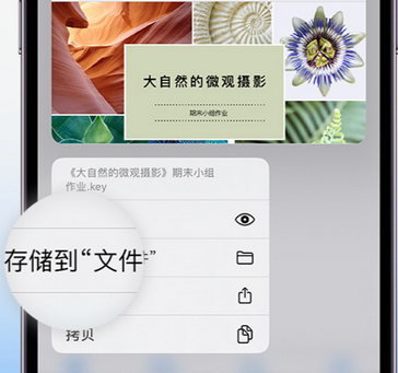 博鳌镇apple维修中心分享iPhone文件应用中存储和找到下载文件