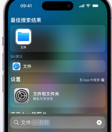 博鳌镇apple维修中心分享iPhone文件应用中存储和找到下载文件 