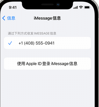 博鳌镇apple维修iPhone上无法正常发送iMessage信息