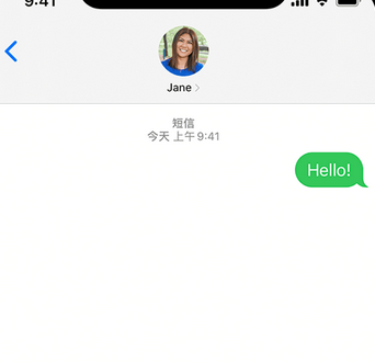 博鳌镇apple维修iPhone上无法正常发送iMessage信息