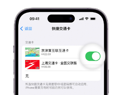 博鳌镇apple维修点分享iPhone上更换Apple Pay快捷交通卡手绘卡面 