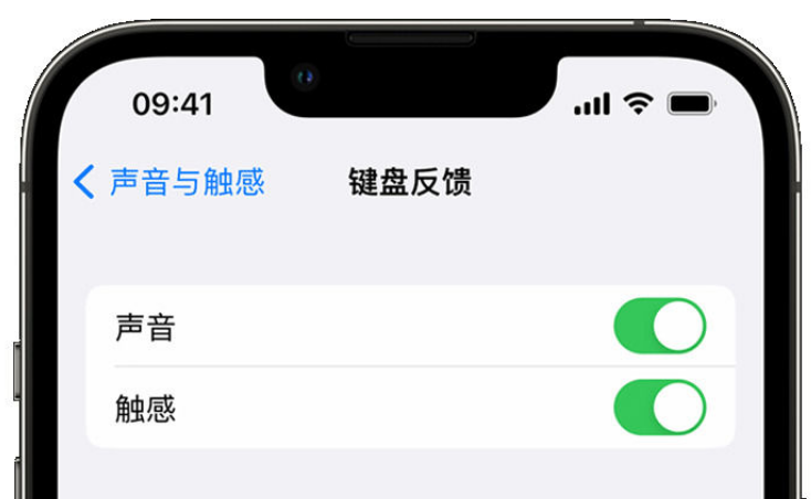 博鳌镇苹果手机维修分享iPhone 14触感键盘使用方法 