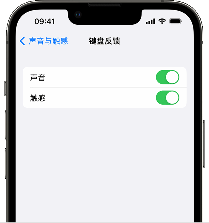 博鳌镇苹果14维修店分享如何在 iPhone 14 机型中使用触感键盘 