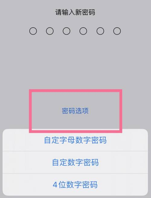 博鳌镇苹果14维修分享iPhone 14plus设置密码的方法 