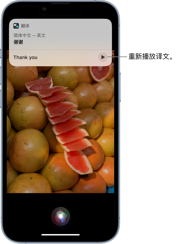 博鳌镇苹果14维修分享 iPhone 14 机型中使用 Siri：了解 Siri 能帮你做什么 