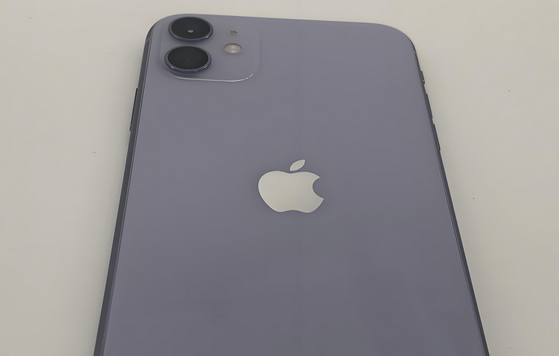 博鳌镇苹果11系统维修分享iPhone11手机系统崩溃无法开机如何解决